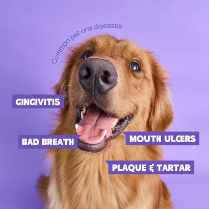 Dog & Cat Oral Care Dental Spray 5.1 Fl Oz Pet Products