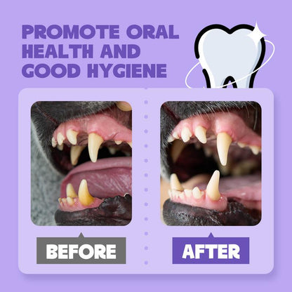 Dog & Cat Oral Care Dental Spray 5.1 Fl Oz Pet Products